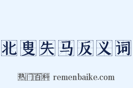 北叟失马反义词是什么意思的图片